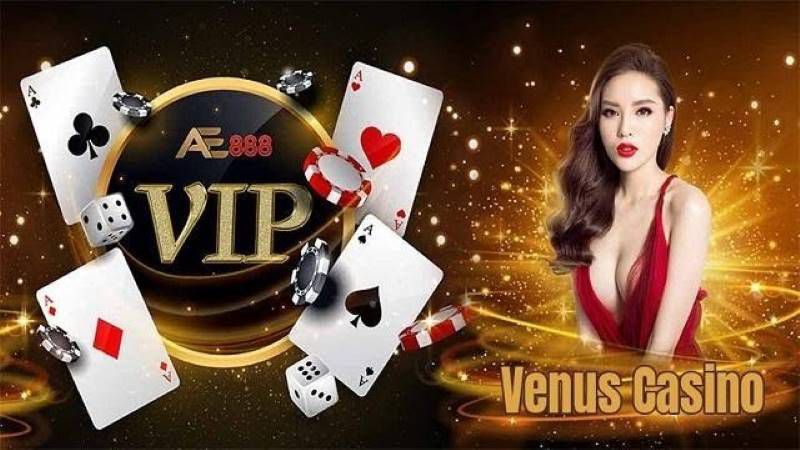 Venus Casino - nhà cái đá gà uy tín